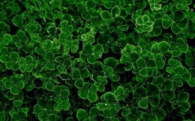 Les bienfaits de l’hypnose à Vannes : Ce que vous devez savoir