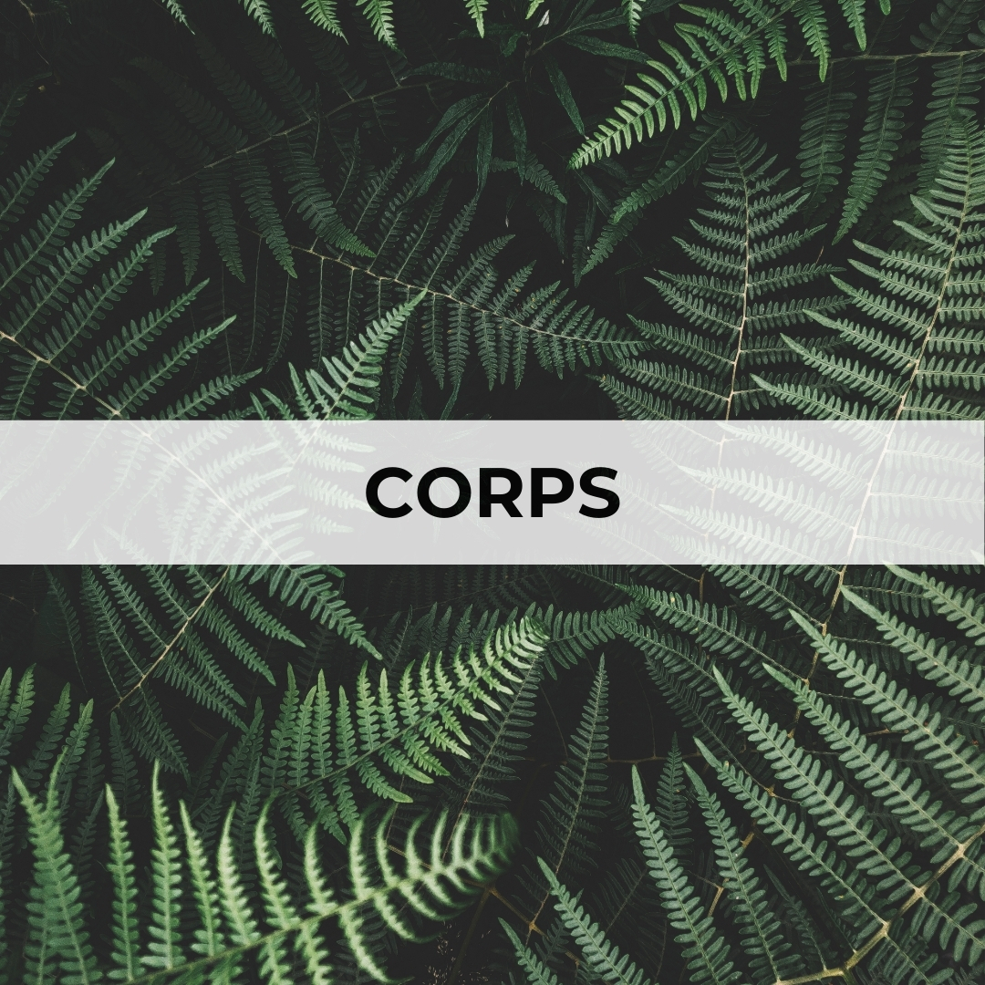 coaching développement personnel