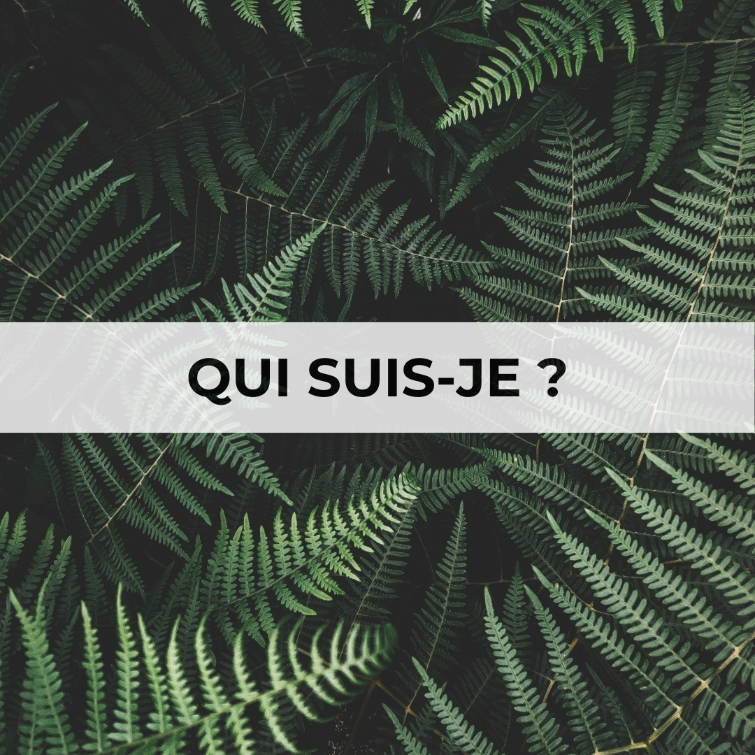 hypnose vannes
