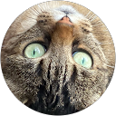 Louise Bertreux profile picture